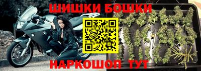 стаф Будённовск
