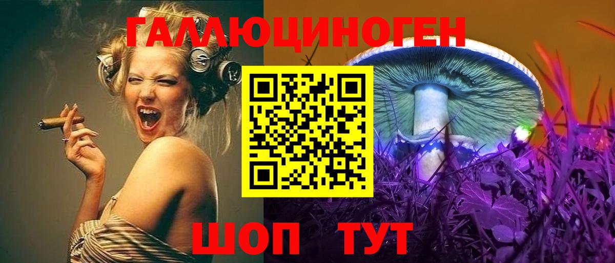 закладка  Псилоцибиновые грибы прущие грибы  Псилоцибиновые грибы Psilocybine cubensis  Вход с VPN  Артёмовский 